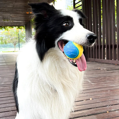 Dogs  Interactive Toys Soft TPR Toys for Dog Pet Teeth Cleaning Bite Resistance Squeaky Dog Ball Toy